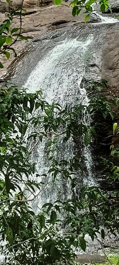 4 Acre Woods Farm Stay Munnar Exterior foto