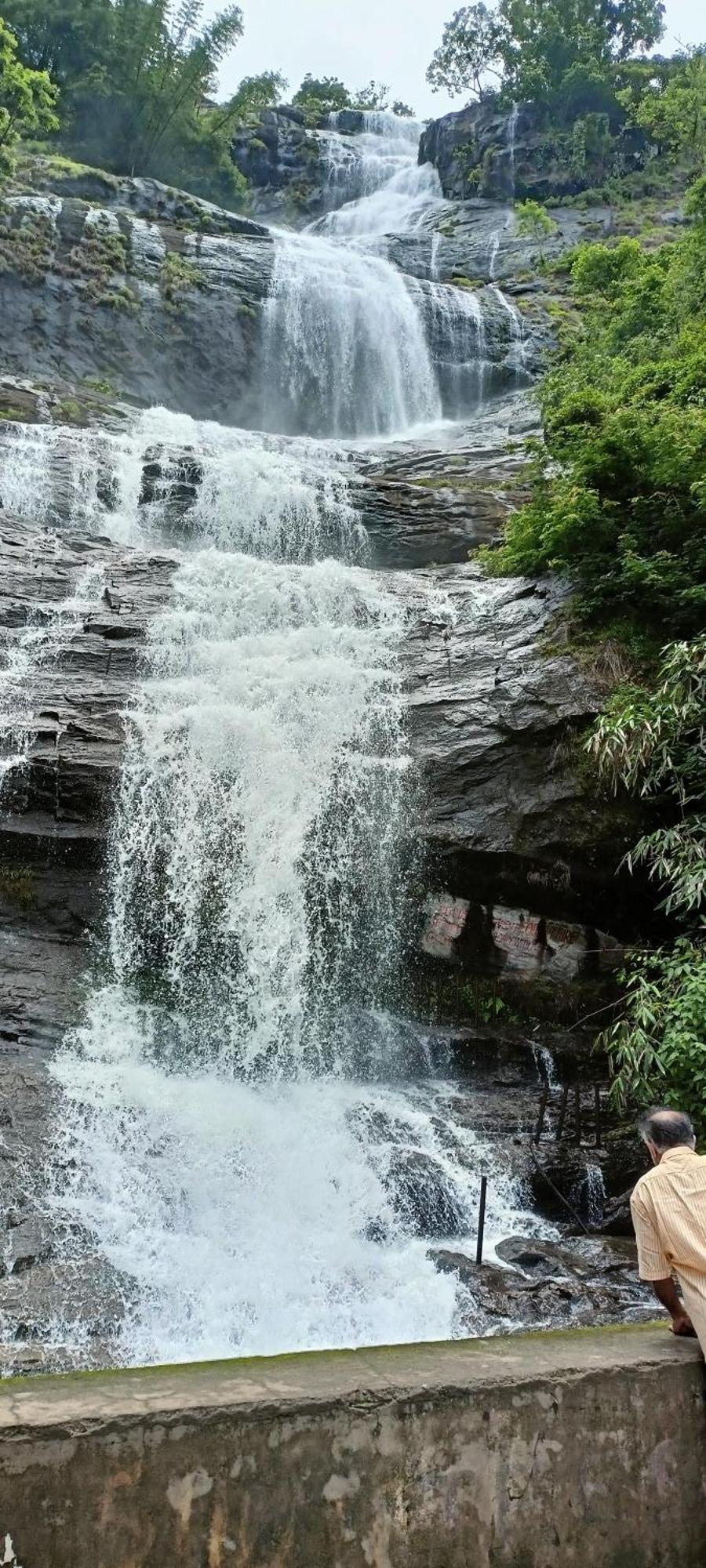 4 Acre Woods Farm Stay Munnar Quarto foto