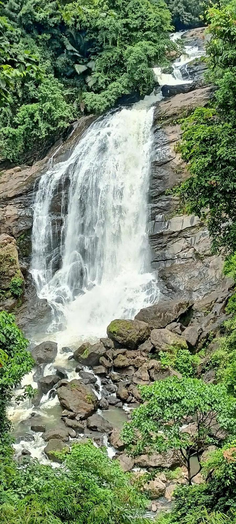 4 Acre Woods Farm Stay Munnar Quarto foto